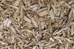 biomass boilers Dryhope